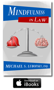 Mindfulness in Law Book